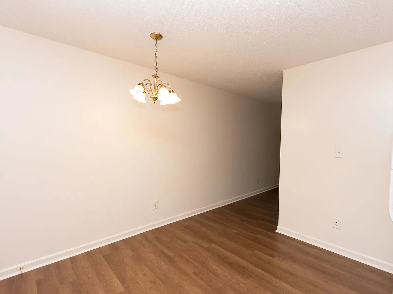 241 Lakewood Drive — Photo 4