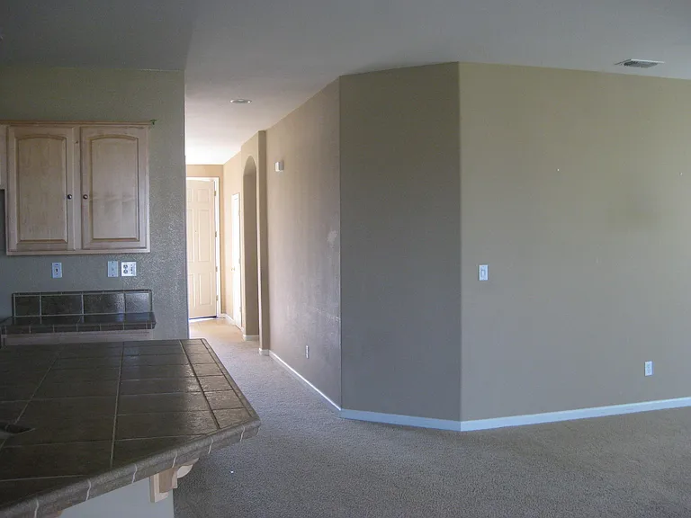 529 Wellman Ct — Photo 6
