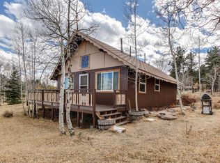 560 Pine Dr, Bailey, CO 80421