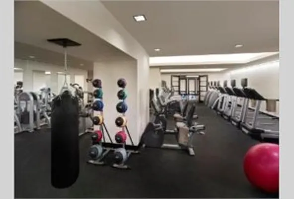 Rented by Avenue Real Estate | media 29