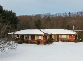 8234 Lisman Ln, Arkport, NY 14807
