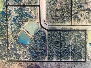 333-2 Woodridge Ln, Cairo, GA 39827