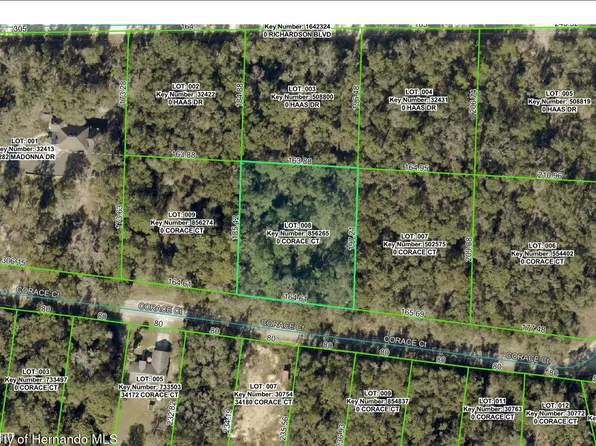 0 Corace Ct, Webster, FL 33597