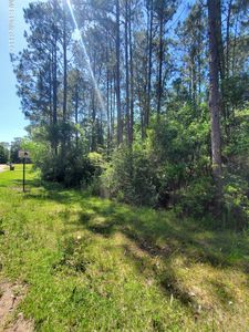 Creek Cv Lot 43, Perkinston, MS, 39573