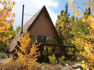 481 Edgewood Rd, Alma, CO 80420