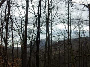 Tbd Cameron Ridge Rd, Warrensville, NC 28693