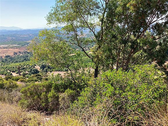 4th image of 37 El Calamar Rd #1