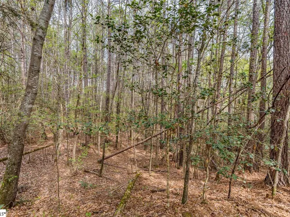 00D Ball Park Rd, Enoree, SC 29335