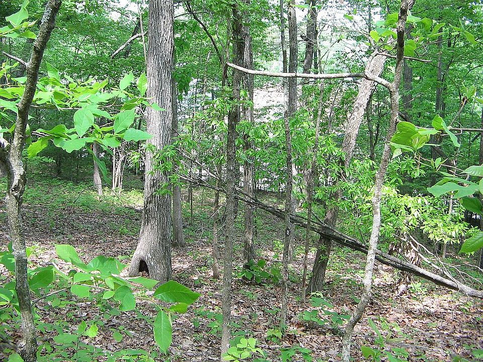 1st image of 62 Chelteham Ln