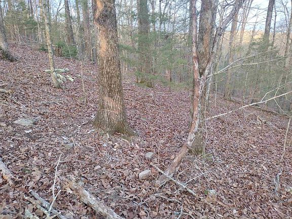 2nd image of TRACT 1 Alamo Dr