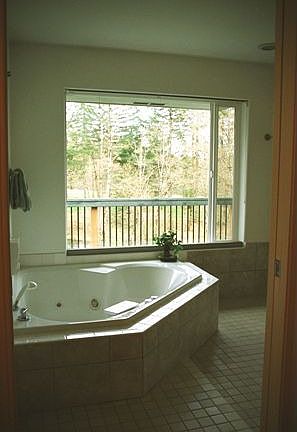 Jacuzzi in Master bath