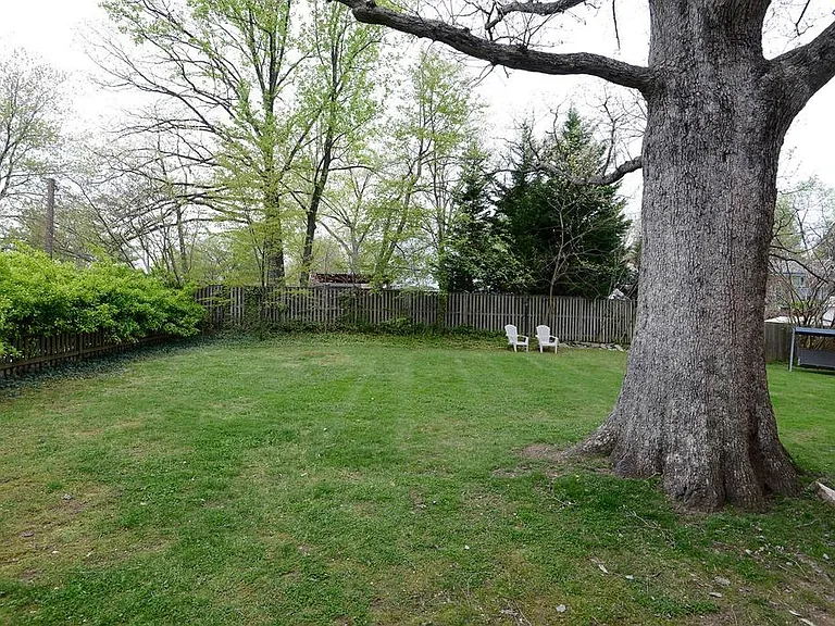 Yard
