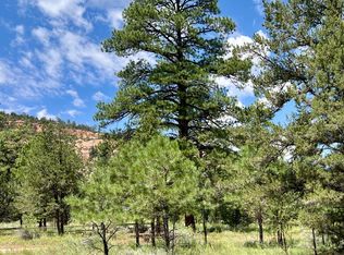 5 S Cottonwood Loop, Ramah, NM 87321