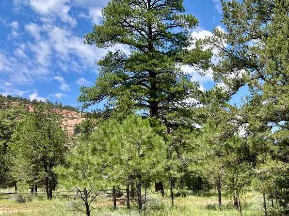 5 S Cottonwood Loop, Ramah, NM 87321