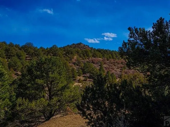 No Site Address, Weston, CO 81091