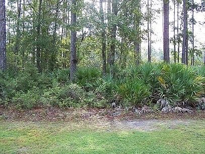 2nd image of 209 Millers Branch Dr