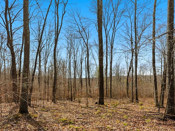 3rd image of 0 Herman Adams Rd