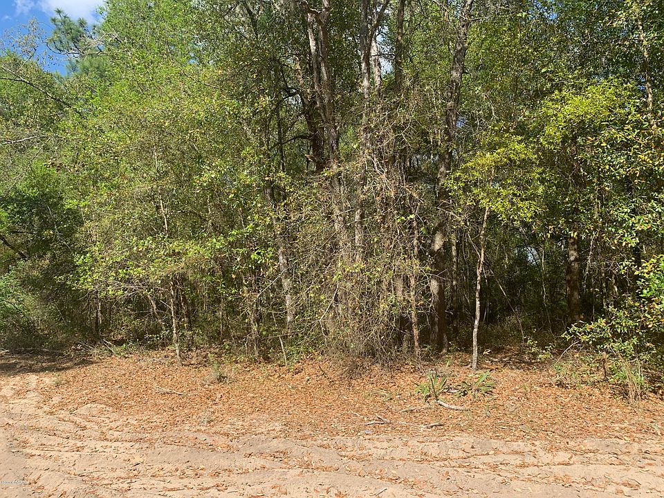 2nd image of 151 Quail Dr