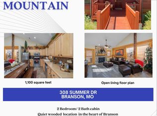308 Summer Dr, Branson, MO 65616