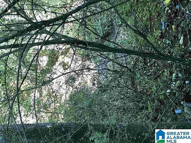 1st image of 4541 Eldorado Dr Lot 1
