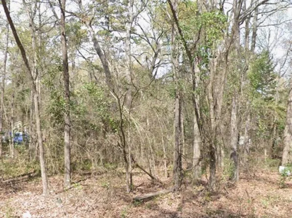 7062 Cypresswood Trl, Gilmer, TX 75645
