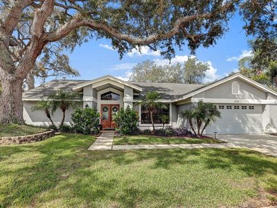 2828 WOODROSE COURT, Holiday, FL, 34691