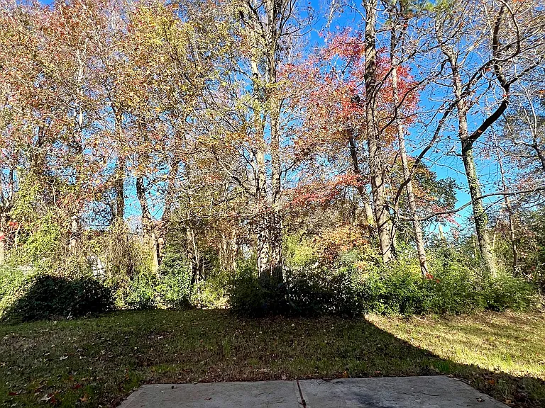 7926 Bristle Ln — Photo 3