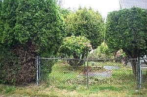 2nd image of 4809B Delridge Way SW