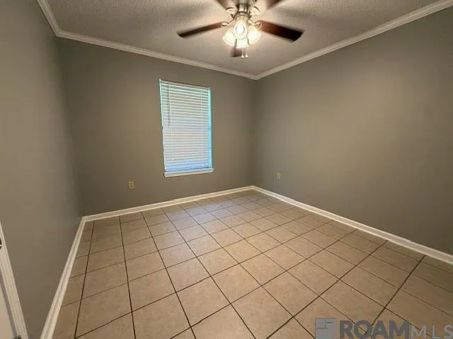 223 Oak St — Photo 5