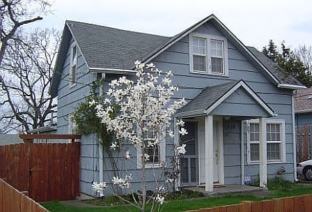March, W/Magnolia in bloom