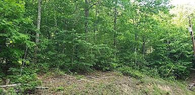 1st image of 1182 Walnut Ct Lot 1182