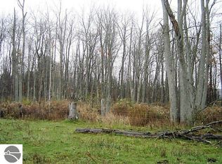 4750 E County Line Rd, South Branch, MI 48761