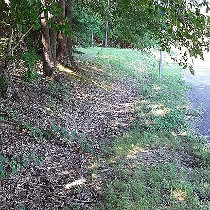 4th image of 132 Dyer Dr