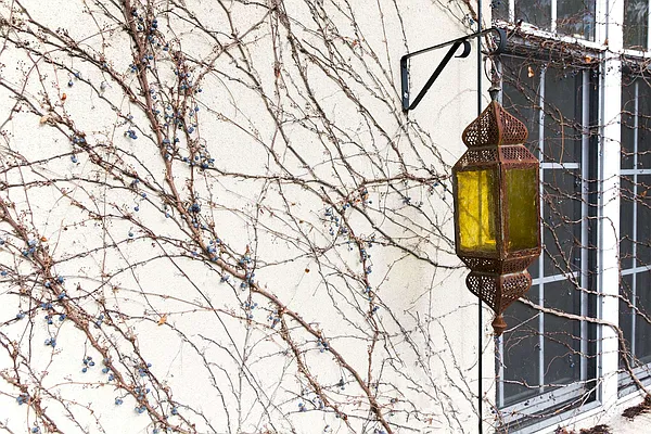 Rented by Grand & Co. | media 14