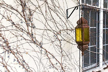 Rented by Grand & Co.