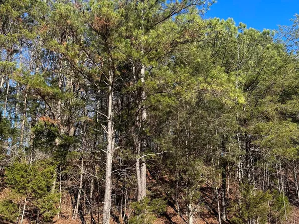 LOT 5 Lower River Rd NW, Charleston, TN 37310