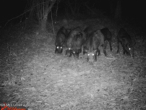 5th image of 50 Oakdale Church Rd