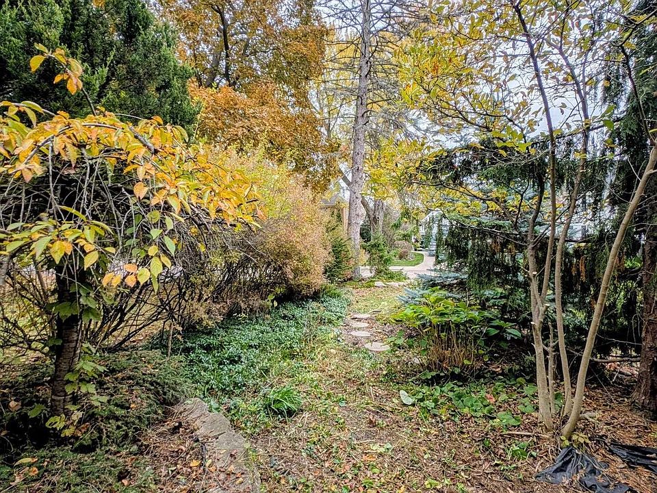 31st image of this home