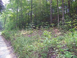 1st image of 0 Old Mill Dr