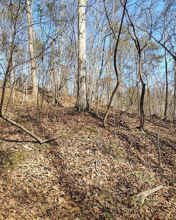 1st image of 0 Braswell Rd #1