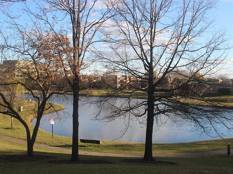 Pond