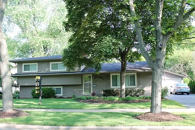 317 Basswood Dr photo 1