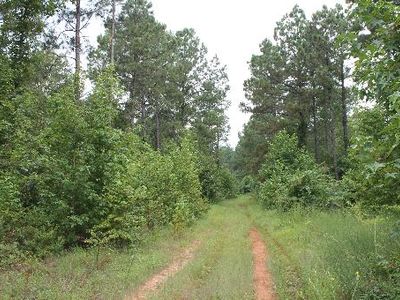 801 County Road 2618, Marietta, TX, 75566