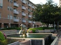 1st image of 23 Pierside Dr Unit 314