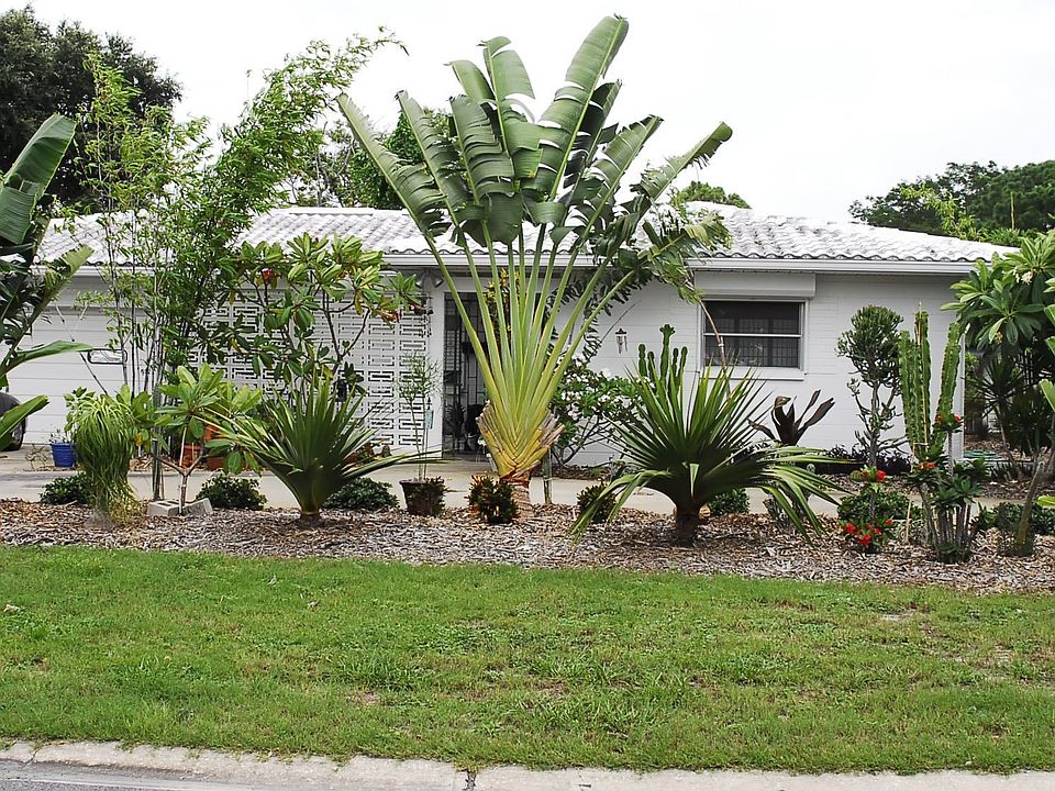 Street view of house