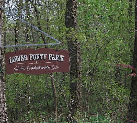 LOWER FORTY FARM - 40 ACRES