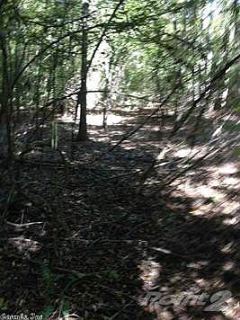 2nd image of Traskwood