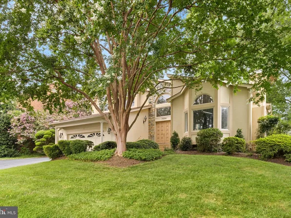 7204 Elizabeth Dr, Mc Lean, VA 22101