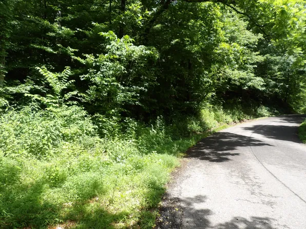 0 E Blue Creek Rd, Mc Ewen, TN 37101
