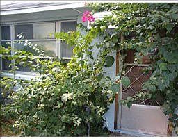 1st image of 3818 Garrison St